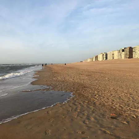 Near Dunes And In Zeedijk Apartament