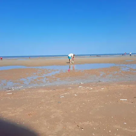 Near Dunes And In Zeedijk